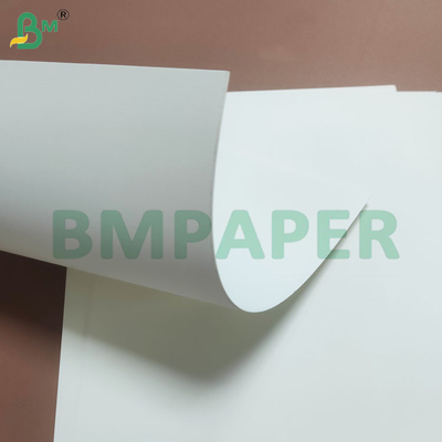 Smooth and Recyclable Bleached White Cup Base Paper Rolls 230gsm