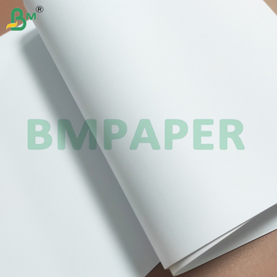 250gsm High Whiteness Wood-free Paper Rolls for Offset Printing