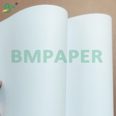 250gsm High Whiteness Wood-free Paper Rolls for Offset Printing