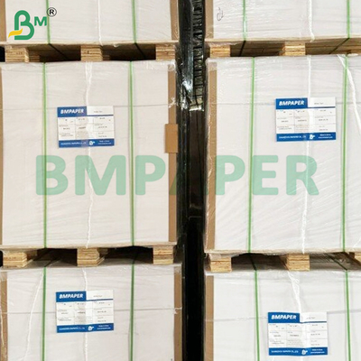 250gsm High Whiteness Wood-free Paper Rolls for Offset Printing