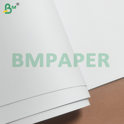 250gsm High Whiteness Wood-free Paper Rolls for Offset Printing