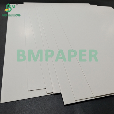 295gsm 325gsm Double Side White Paper Frozen Food Cards Board