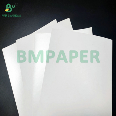 Smooth Surface 290gsm + 15gsm PE SBS Cardboard For Frozen Packaging Box