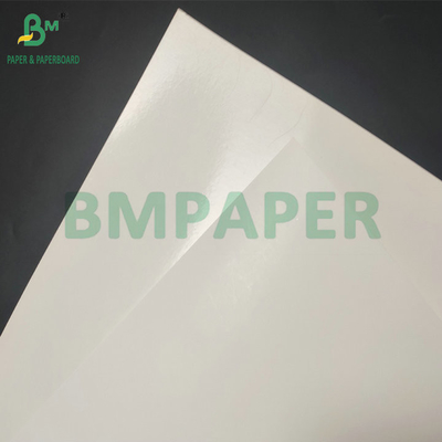 Smooth Surface 290gsm + 15gsm PE SBS Cardboard For Frozen Packaging Box