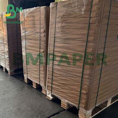 Biodegradable Disposable Cold Resistant Food Wrapping Cardboard 275gr