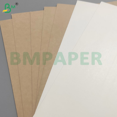 Food Safety 200+10GSM PET Coated Paper Sheets for Food Container