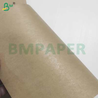 Food Safety 200+10GSM PET Coated Paper Sheets for Food Container