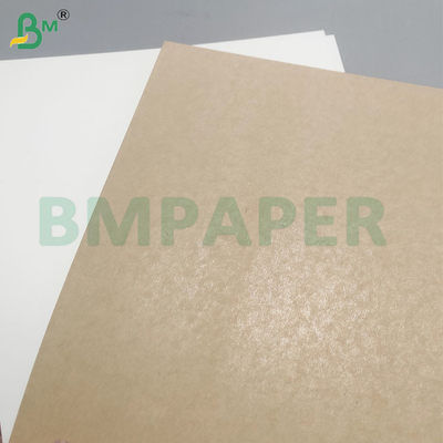 Food Safety 200+10GSM PET Coated Paper Sheets for Food Container