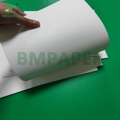 Waterproof PET Laminated 300gsm White Cardboard For Lunch Box Recyclable