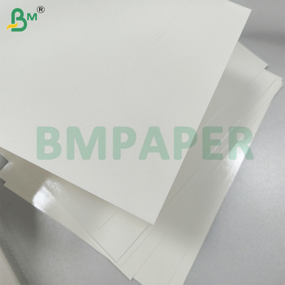 White PET Coating Food Service Paper for Paper Plate Grease Resistant