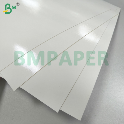 White PET Coating Food Service Paper for Paper Plate Grease Resistant