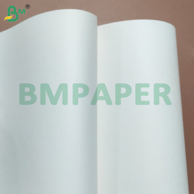 240gsm+10gsm One Side PE Coated Leak-proof Cup Stock Paper Sheets