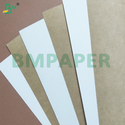 240gsm+10gsm One Side PE Coated Leak-proof Cup Stock Paper Sheets