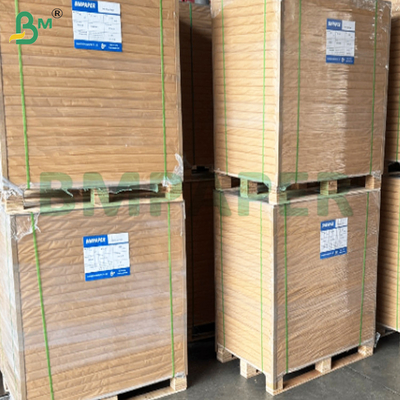 240gsm+10gsm One Side PE Coated Leak-proof Cup Stock Paper Sheets