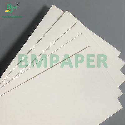 18g PE Coated Waterproof 210gsm Cup Stock Paper For Making Coffee Cup
