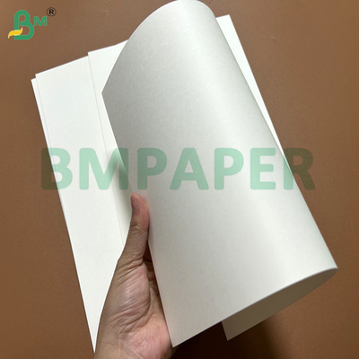 240g + 15PE Oil Resistant Food Container Paper For Making Paper Bowls 61 x 86cm
