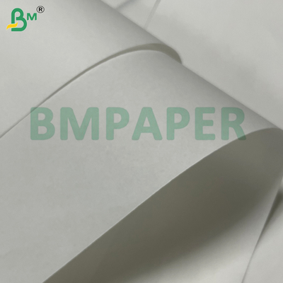 High White Kraft Paper 50gsm High Strength Moisture Resistant for Food Bags