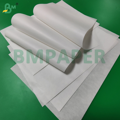 40gsm 60gsm Silicone Base Paper For Label Industry 700mm 1000mm Non - Stick
