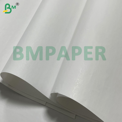 70g 75g 565mm 640mm High - White Heat-Sensitive Coating Cash Register Paper for POS Machine