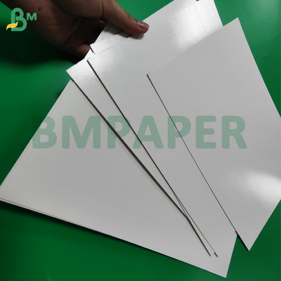 1 / S 295g + 15g PE Coated Frozen Food Paper For Shrimp Packaging Freezer - Safe