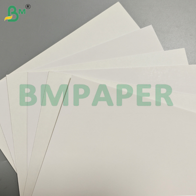 15gsm White Top Coated Kraft Paper Rolls for Packaging Frozen Food