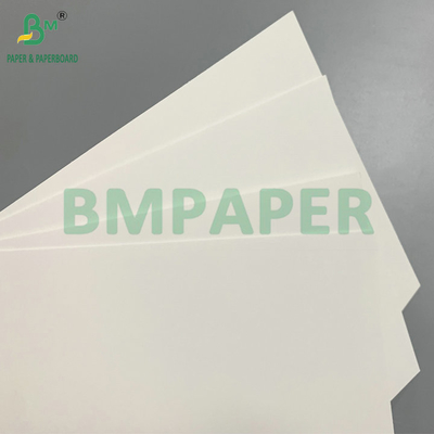 C1S 275gsm + 15gsm PE Frozen Cardboard For Shrimp/Fish Packaging Box