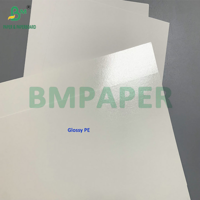 C1S 275gsm + 15gsm PE Frozen Cardboard For Shrimp/Fish Packaging Box
