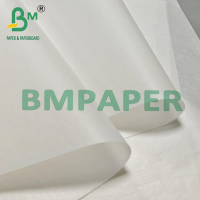 Silicone Coated Vegetable Parchment Paper For Wrapping 24" x 36"