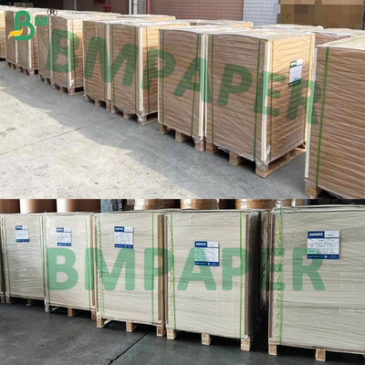 Heat Seal Coated Blister Card Paper 320gsm 350gsm C1S Cardstock