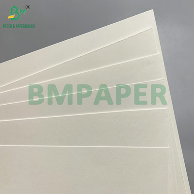 PE Coated 190 - 350gsm Bowl Paper Used for Disposable Paper Bowls