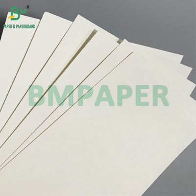 PE Coated 190 - 350gsm Bowl Paper Used for Disposable Paper Bowls