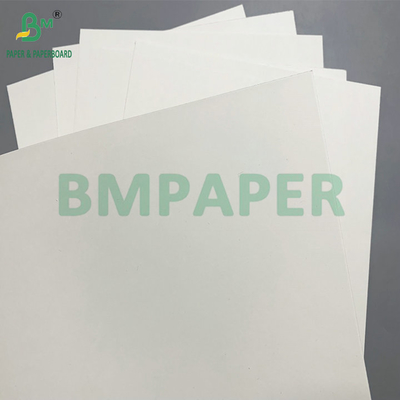 PE Coated 190 - 350gsm Bowl Paper Used for Disposable Paper Bowls