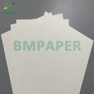 PE Coated 190 - 350gsm Bowl Paper Used for Disposable Paper Bowls