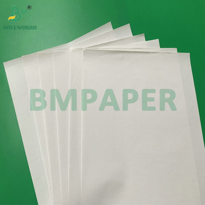65gsm 70gsm BPA-Free Direct Thermal Paper Rolls For Register Roll