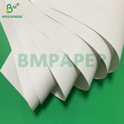 65gsm 70gsm BPA-Free Direct Thermal Paper Rolls For Register Roll
