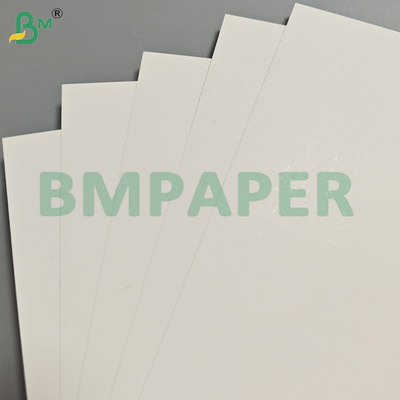 190-400Gsm One Side Coated SBS White Cardboard for Box Making