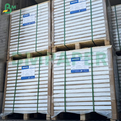 300Gsm Double Side Coated and Glossy C2S Paper Sheets for Posters