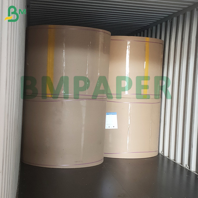 White Trace Paper Clearly Translucent Tracing Patterns Paper 180gr