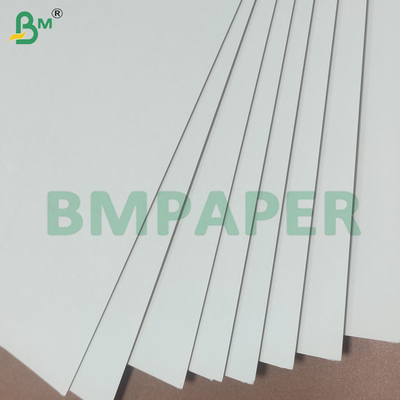 190+10gsm PE Coated Cup Stock Paper Rolls for Paper Cups Bowls