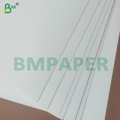 190+10gsm PE Coated Cup Stock Paper Rolls for Paper Cups Bowls