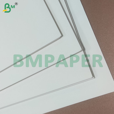 190+10gsm PE Coated Cup Stock Paper Rolls for Paper Cups Bowls