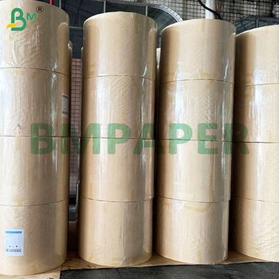 190+10gsm PE Coated Cup Stock Paper Rolls for Paper Cups Bowls