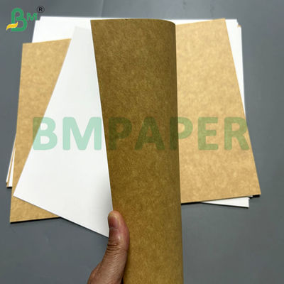 250gsm 300gsm  Food Compliance Coated Kraft Board For Food Containers 71cm