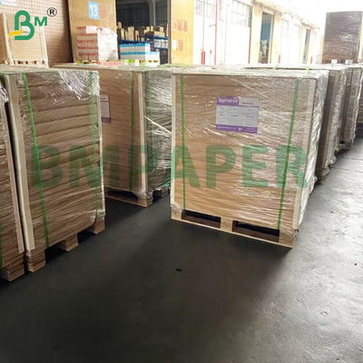 Food Grade Clay - Coated Kraft Back Paper Board 275gsm 325gsm