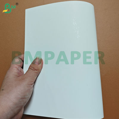 250 Gsm One Side Coated Blister White Cardboard for Packaging