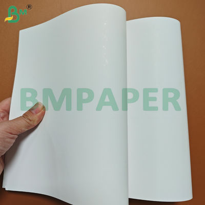 250 Gsm One Side Coated Blister White Cardboard for Packaging