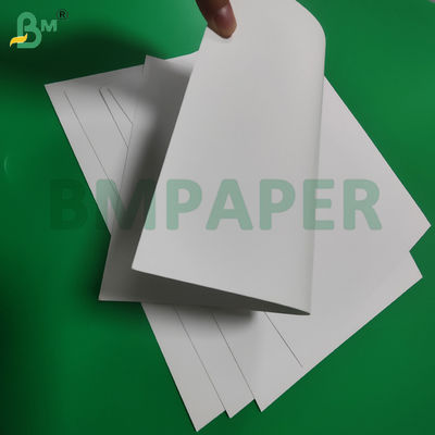 350gsm 400gsm White Blister Cardboard For Stationery Packaging 800 x 1000mm