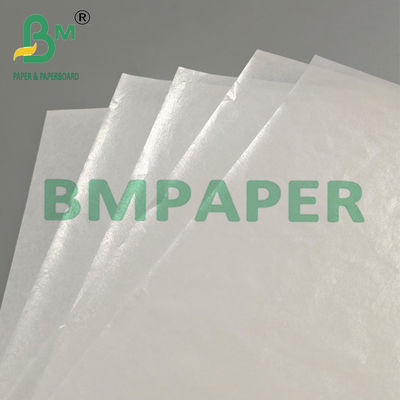 Greaseproof Laminated White Kraft Paper 75gsm for Baking Food 500x600mm