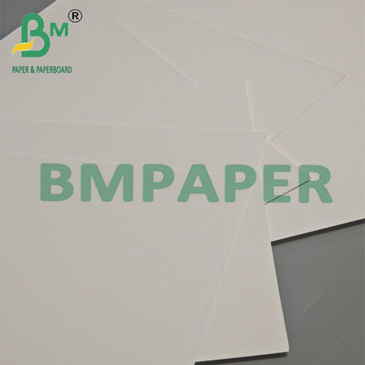 190 - 400gr One Side Coated Triplex FBB Folding Box Board For Packaging