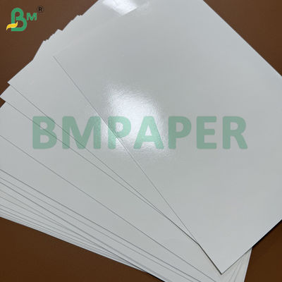 230gsm Cupstock Paper + 15g Single Side Pe Coating 60 X 40cm Sheets